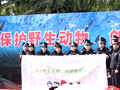 ���鱳������������